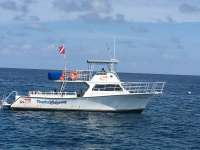 Great day of scuba diving in Key Largo with Rainbow Reef on molasses reef tropical adventure 2016 08 09 r3158 1