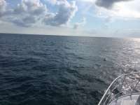Great day of scuba diving in Key Largo with Rainbow Reef on molasses reef tropical adventure 2016 08 23 r3200 1