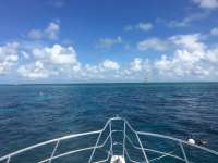 Great day of scuba diving in Key Largo with Rainbow Reef on molasses reef tropical adventure 2016 08 26 r3206 1