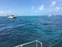 Great day of scuba diving in Key Largo with Rainbow Reef on molasses reef tropical explorer 2016 08 05 r3143 1