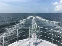 Great day of scuba diving in Key Largo with Rainbow Reef on molasses reef tropical legend 2016 08 06 r3145 1