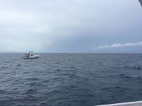 Great day of scuba diving in Key Largo with Rainbow Reef on molasses reef tropical odyssey 2016 08 11 r3164 1