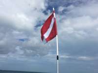 Great day of scuba diving in Key Largo with Rainbow Reef on molasses reef tropical odyssey 2016 08 14 r3172 1