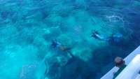 Great day of scuba diving in Key Largo with Rainbow Reef on pickle barrel wreck tropical legend 2016 08 19 r3181 1