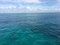 Great day of scuba diving in Key Largo with Rainbow Reef on pickles reef tropical legend 2016 08 25 r3203 1