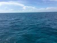 Great day of scuba diving in Key Largo with Rainbow Reef on snapper ledge tropical adventure 2016 08 26 r3207 1