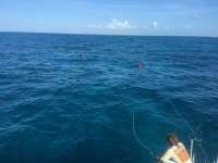 Great day of scuba diving in Key Largo with Rainbow Reef on snapper ledge tropical legend 2016 08 05 r3141 1