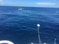 Great day of scuba diving in Key Largo with Rainbow Reef on spiegel grove tropical adventure 2016 08 22 r3198 1