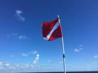 Great day of scuba diving in Key Largo with Rainbow Reef on spiegel grove tropical odyssey 2016 08 13 r3170 1