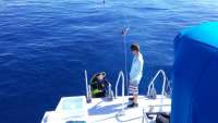 Great day of scuba diving in Key Largo with Rainbow Reef on spiegel grove tropical odyssey 2016 08 20 r3187 1