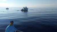 Great day of scuba diving in Key Largo with Rainbow Reef on spiegel grove tropical odyssey 2016 08 21 r3195 1