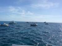 Great day of scuba diving in Key Largo with Rainbow Reef on uscgc duane tropical odyssey 2016 08 05 r3142 1