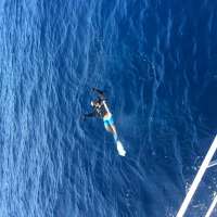 Great day of scuba diving in Key Largo with Rainbow Reef on uscgc duane tropical odyssey 2016 08 10 r3161 1