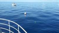 Great day of scuba diving in Key Largo with Rainbow Reef on uscgc duane tropical odyssey 2016 08 20 r3189 1