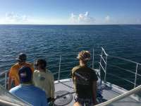Great day of scuba diving in Key Largo with Rainbow Reef on uscgc duane tropical odyssey 2016 08 22 r3196 1