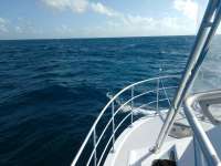 Great day of scuba diving in Key Largo with Rainbow Reef on christmastree cave tropical legend 2016 12 27 r3659 1