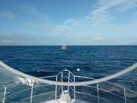 Great day of scuba diving in Key Largo with Rainbow Reef on conch pillars tropical legend 2016 12 02 r3567 1