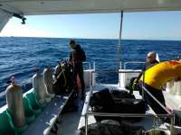 Great day of scuba diving in Key Largo with Rainbow Reef on conch wall tropical explorer 2016 12 28 r3673 1