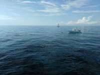 Great day of scuba diving in Key Largo with Rainbow Reef on eagle ray alley tropical legend 2016 12 07 r3585 1