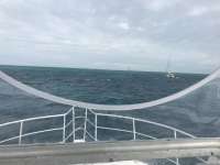 Great day of scuba diving in Key Largo with Rainbow Reef on eagle ray alley tropical legend 2016 12 10 r3592 1