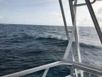 Great day of scuba diving in Key Largo with Rainbow Reef on eagle ray alley tropical legend 2016 12 12 r3597 1