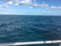 Great day of scuba diving in Key Largo with Rainbow Reef on fire coral cave tropical legend 2016 12 31 r3692 1