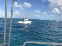 Great day of scuba diving in Key Largo with Rainbow Reef on fire coral cave tropical odyssey 2016 12 27 r3662 1