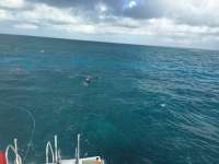 Great day of scuba diving in Key Largo with Rainbow Reef on french reef tropical legend 2016 12 20 r3626 1