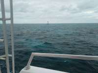 Great day of scuba diving in Key Largo with Rainbow Reef on hole in the wall tropical legend 2016 12 03 r3569 1
