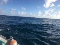 Great day of scuba diving in Key Largo with Rainbow Reef on molasses reef tropical adventure 2016 12 19 r3625 1