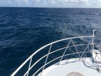 Great day of scuba diving in Key Largo with Rainbow Reef on molasses reef tropical adventure 2016 12 24 r3655 1