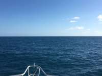 Great day of scuba diving in Key Largo with Rainbow Reef on molasses reef tropical adventure 2016 12 28 r3668 1