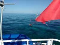 Great day of scuba diving in Key Largo with Rainbow Reef on molasses reef tropical adventure 2016 12 29 r3685 1