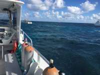 Great day of scuba diving in Key Largo with Rainbow Reef on molasses reef tropical explorer 2016 12 23 r3649 1