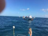 Great day of scuba diving in Key Largo with Rainbow Reef on molasses reef tropical explorer 2016 12 29 r3675 1