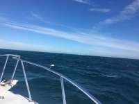 Great day of scuba diving in Key Largo with Rainbow Reef on molasses reef tropical explorer 2016 12 30 r3690 1