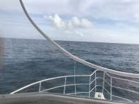 Great day of scuba diving in Key Largo with Rainbow Reef on molasses reef tropical legend 2016 12 12 r3599 1