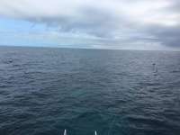 Great day of scuba diving in Key Largo with Rainbow Reef on molasses reef tropical voyager 2016 12 07 r3582 1