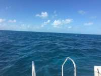 Great day of scuba diving in Key Largo with Rainbow Reef on molasses reef tropical voyager 2016 12 27 r3661 1