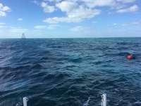 Great day of scuba diving in Key Largo with Rainbow Reef on north star tropical legend 2016 12 31 r3696 1