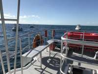 Great day of scuba diving in Key Largo with Rainbow Reef on north star tropical odyssey 2016 12 28 r3670 1