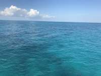 Great day of scuba diving in Key Largo with Rainbow Reef on sand island tropical adventure 2016 12 14 r3607 1