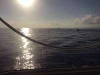 Great day of scuba diving in Key Largo with Rainbow Reef on snapper ledge tropical legend 2016 12 14 r3608 1
