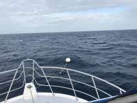 Great day of scuba diving in Key Largo with Rainbow Reef on spiegel grove tropical adventure 2016 12 22 r3640 1