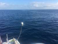 Great day of scuba diving in Key Largo with Rainbow Reef on spiegel grove tropical legend 2016 12 08 r3586 2