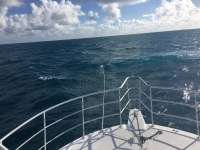 Great day of scuba diving in Key Largo with Rainbow Reef on spiegel grove tropical legend 2016 12 24 r3653 1