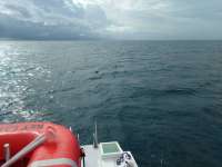 Great day of scuba diving in Key Largo with Rainbow Reef on spiegel grove tropical odyssey 2016 12 10 r3595 1