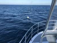 Great day of scuba diving in Key Largo with Rainbow Reef on spiegel grove tropical odyssey 2016 12 15 r3609 1