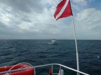 Great day of scuba diving in Key Largo with Rainbow Reef on uscgc duane tropical legend 2016 12 09 r3589 1