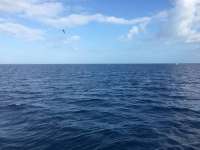 Great day of scuba diving in Key Largo with Rainbow Reef on uscgc duane tropical odyssey 2016 12 14 r3605 1